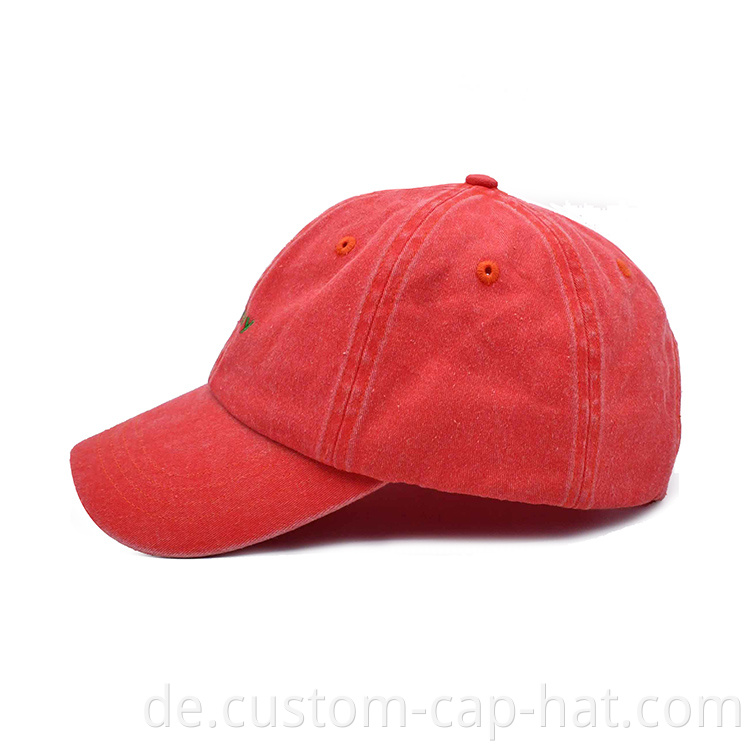 Wash Dad Cap